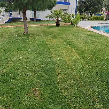 White Bay * דידים