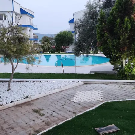 White Bay * דידים